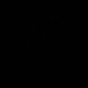 Meet your Posher, Danny